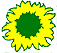 20060129234548-c-green.gif